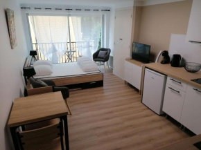 Studio Amélie-les-Bains-Palalda, 1 pièce, 2 personnes - FR-1-659-63